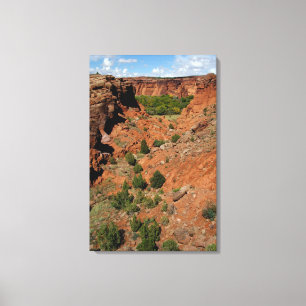 Nordamerika, USA, Arizona, Navajo-Indianer Leinwanddruck