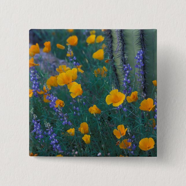 Nordamerika, USA, Arizona, Orgelpfeife Button (Vorderseite)