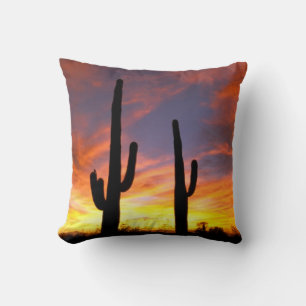Nordamerika, USA, Arizona, Sonora-Wüste. Kissen