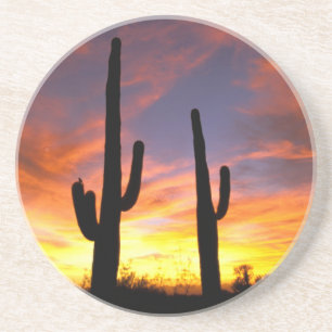 Nordamerika, USA, Arizona, Sonoran Wüste. Getränkeuntersetzer