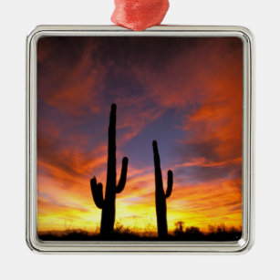 Nordamerika, USA, Arizona, Sonoran Wüste. Ornament Aus Metall