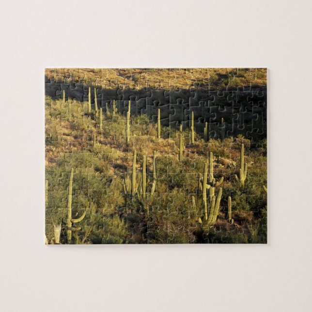 Nordamerika, USA, Arizona, Sonoran Wüste Puzzle (Horizontal)