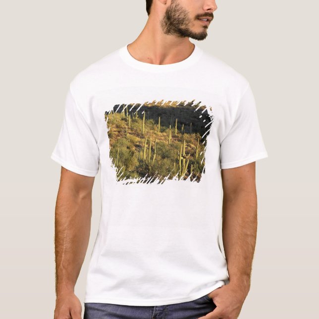 Nordamerika, USA, Arizona, Sonoran Wüste T-Shirt (Vorderseite)