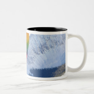 Nordamerika, USA, Colorado, Mt. Crested Butte, 2 Zweifarbige Tasse