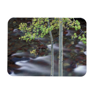 Nordamerika, USA, Colorado, San Juan Magnet