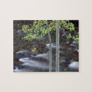 Nordamerika, USA, Colorado, San Juan Puzzle