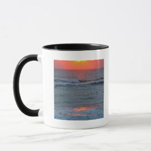 Nordamerika, USA, Florida, Canaveral Tasse