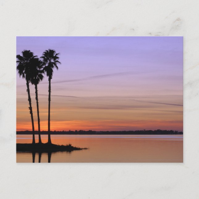 Nordamerika, USA, Florida, Dora, Trio Postkarte (Vorderseite)