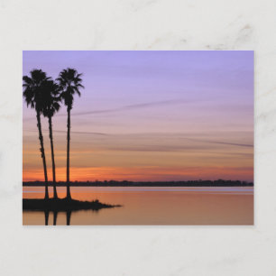 Nordamerika, USA, Florida, Mt. Dora, ein Trio Postkarte