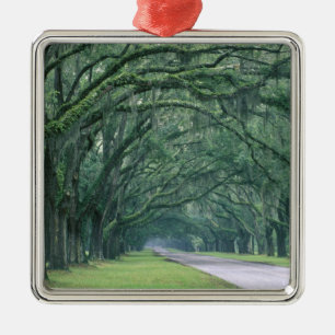 Nordamerika, USA, Georgia, Savannah, Silbernes Ornament