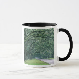 Nordamerika, USA, Georgia, Savannah, Tasse