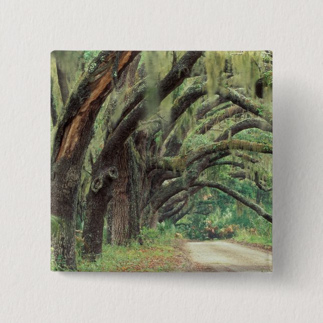 Nordamerika, USA, Georgien, Cumberland 2 Button (Vorderseite)