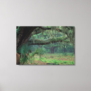 Nordamerika, USA, Georgien, Cumberland 2 Leinwanddruck