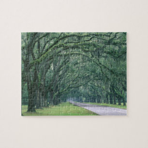 Nordamerika, USA, Georgien, Savannah, Puzzle