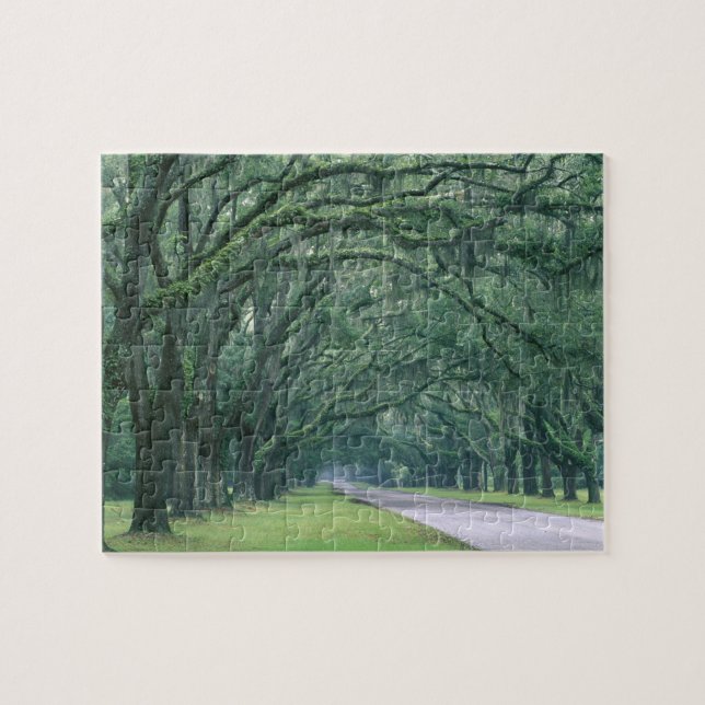 Nordamerika, USA, Georgien, Savannah, Puzzle (Horizontal)