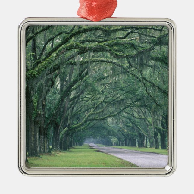 Nordamerika, USA, Georgien, Savannah, Silbernes Ornament (Vorne)