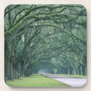 Nordamerika, USA, Georgien, Savannah, Untersetzer