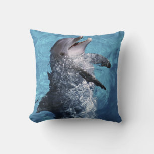 Nordamerika, USA, Hawaii. Delfin Kissen