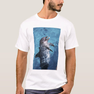 Nordamerika, USA, Hawaii. Delfin T-Shirt