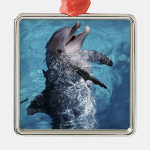 Nordamerika, USA, Hawaii. Delphin 2 Ornament Aus Metall