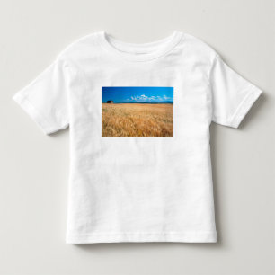 Nordamerika, USA, Idaho. Gerstenfeld in Kleinkind T-shirt