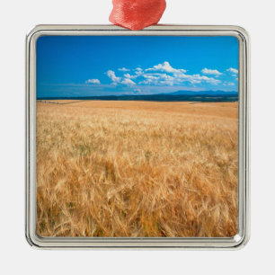 Nordamerika, USA, Idaho. Gerstenfeld in Silbernes Ornament