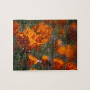 Nordamerika, USA, Kalifornien, Antelope Valley, Puzzle
