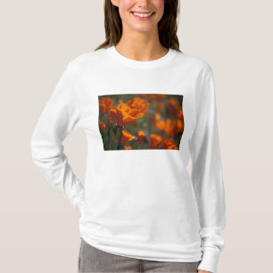 Nordamerika, USA, Kalifornien, Antelope Valley, T-Shirt