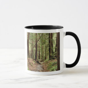 Nordamerika, USA, Kalifornien, Big Sur, 3 Tasse