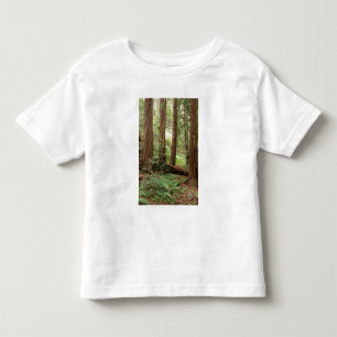 Nordamerika, USA, Kalifornien, Big Sur, Kleinkind T-shirt