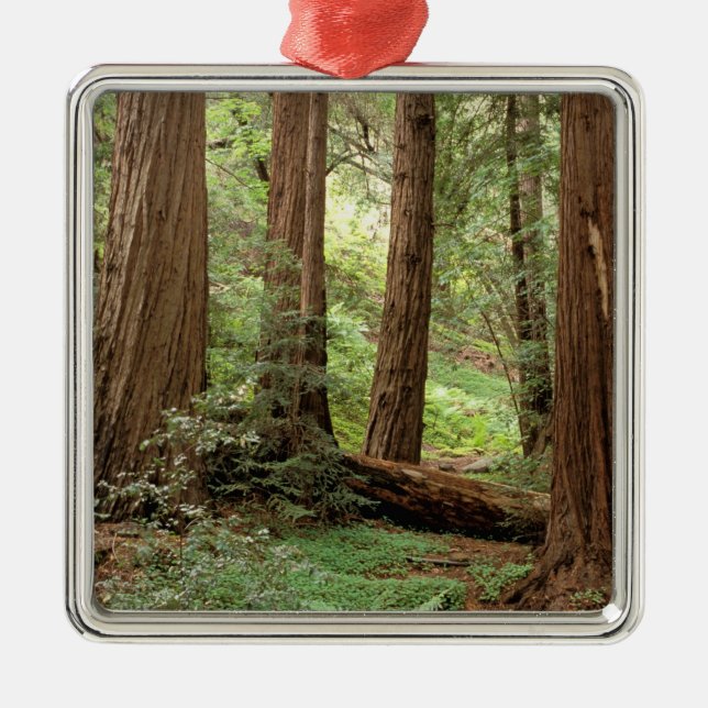 Nordamerika, USA, Kalifornien, Big Sur, Silbernes Ornament (Vorne)