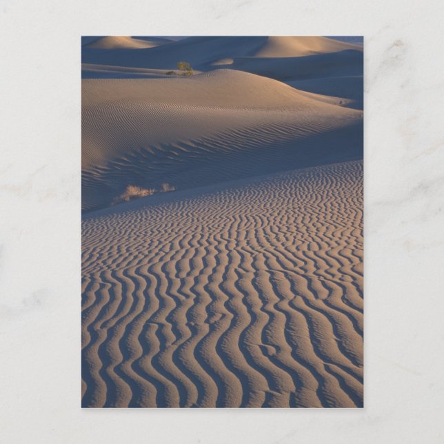 Nordamerika, USA, Kalifornien, Death Valley Postkarte (Vorderseite)