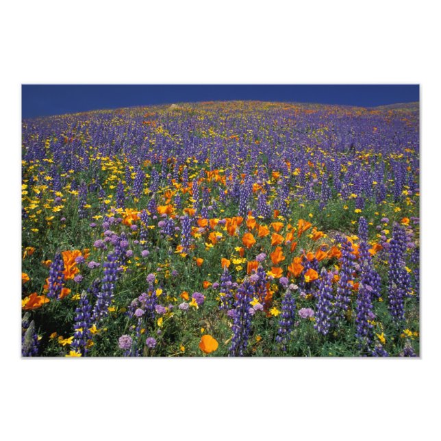 Nordamerika, USA, Kalifornien, Los Angeles 2 Fotodruck (Vorne)