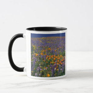 Nordamerika, USA, Kalifornien, Los Angeles 2 Tasse