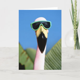 Nordamerika, USA, Kalifornien, San Diego.Meeresmee Karte