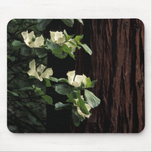 Nordamerika, USA, Kalifornien, Yosemite 2 Mousepad