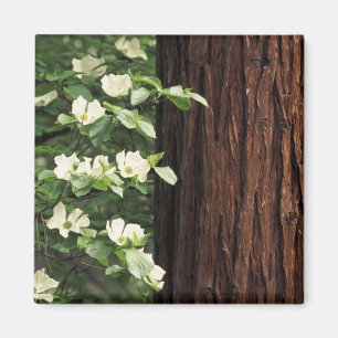 Nordamerika, USA, Kalifornien, Yosemite 3 Magnet