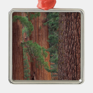 Nordamerika, USA, Kalifornien, Yosemite NP, Ornament Aus Metall