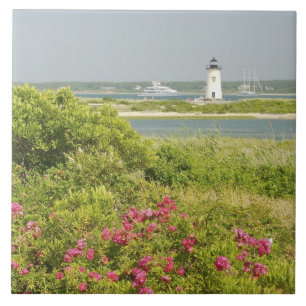 Nordamerika, USA, Massachusetts, Martha's Fliese