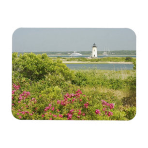 Nordamerika, USA, Massachusetts, Martha's Magnet