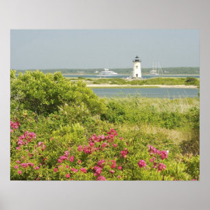 Nordamerika, USA, Massachusetts, Martha's Poster