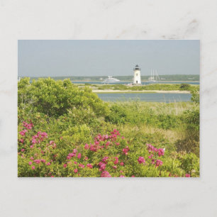 Nordamerika, USA, Massachusetts, Martha's Postkarte