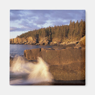 Nordamerika, USA, ME, Die felsige Küste von Maine. Magnet