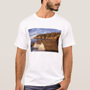 Nordamerika, USA, ME, Die felsige Küste von Maine. T-Shirt