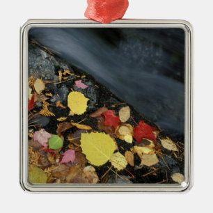 Nordamerika, USA, ME, Ein Bach im Herbst. Ornament Aus Metall