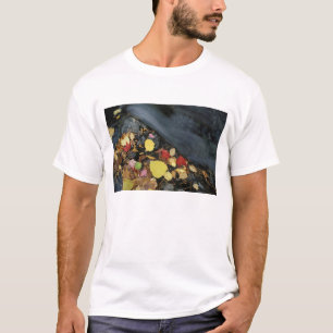 Nordamerika, USA, ME, Ein Bach im Herbst. T-Shirt