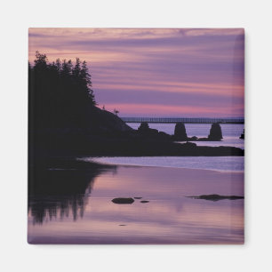 Nordamerika, USA, ME, Isle Au Haut. Duck Magnet