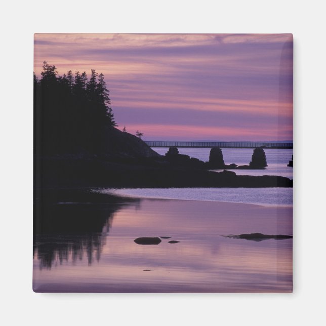 Nordamerika, USA, ME, Isle Au Haut. Duck Magnet (Vorne)