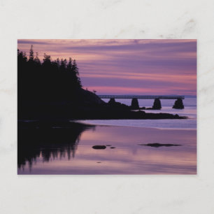 Nordamerika, USA, ME, Isle Au Haut. Duck Postkarte