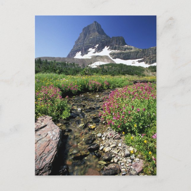 Nordamerika, USA, Montana, Glacier National 3 Postkarte (Vorderseite)